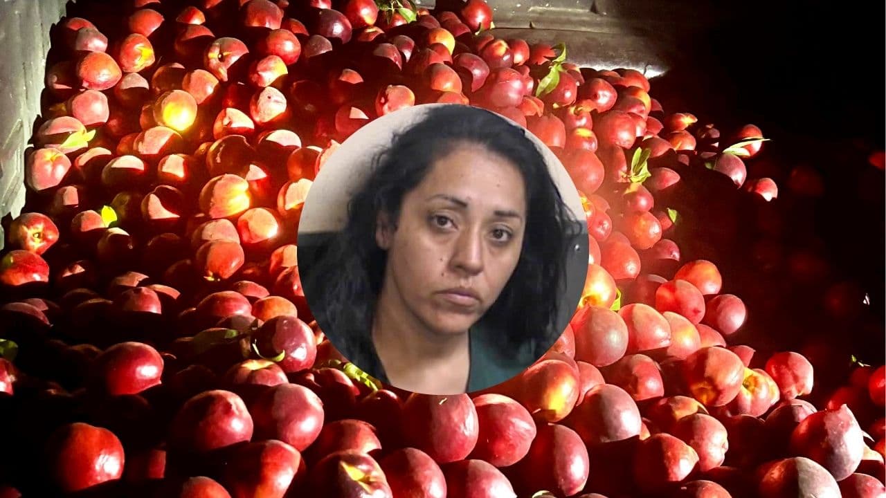 Deputy arrests woman in Fresno County nectarine theft case