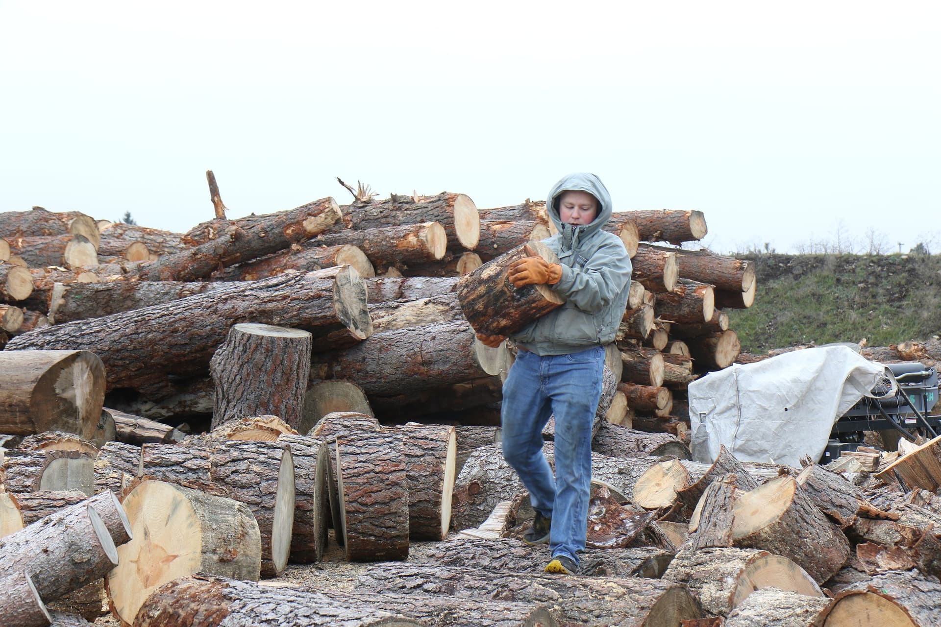 ElderHelp, Coeur d'Alene partners turn storm-felled trees into firewood