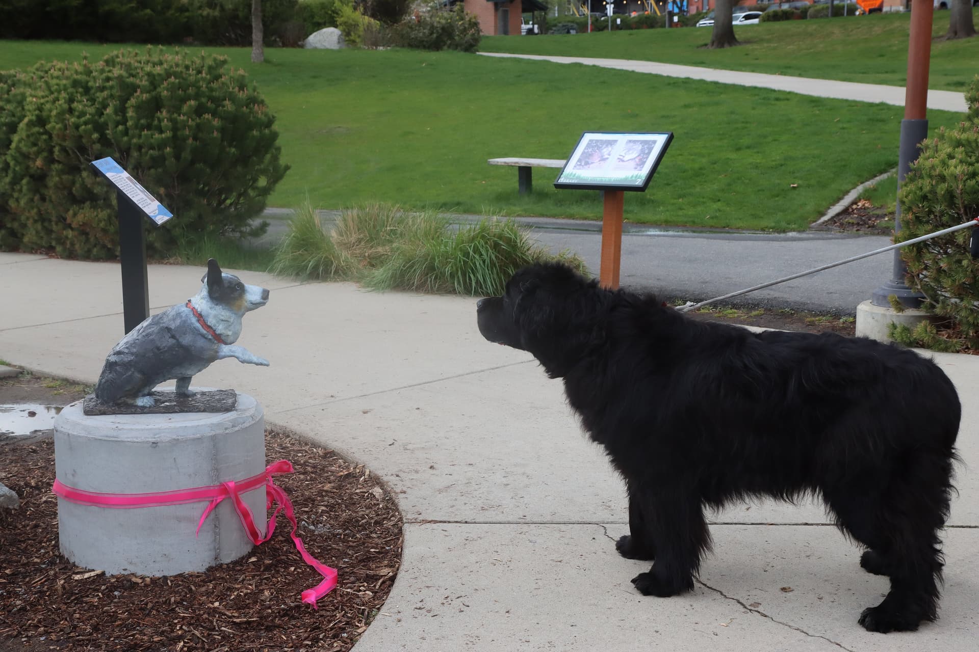 Coeur d'Alene unveils Stewy statue, celebrating literacy and community