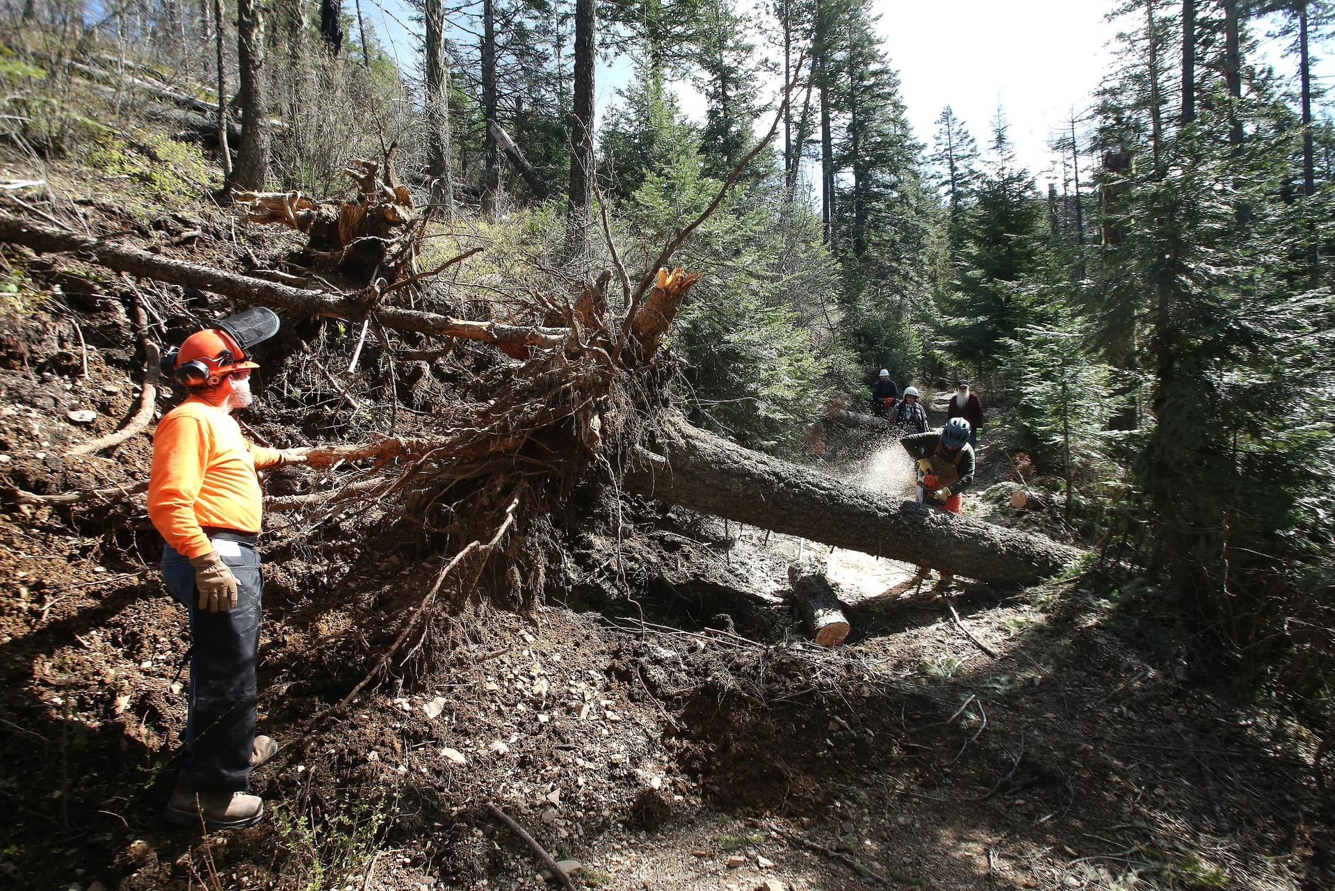 Volunteers clear downed trees, reopen Idaho Panhandle trails in Kootenai County