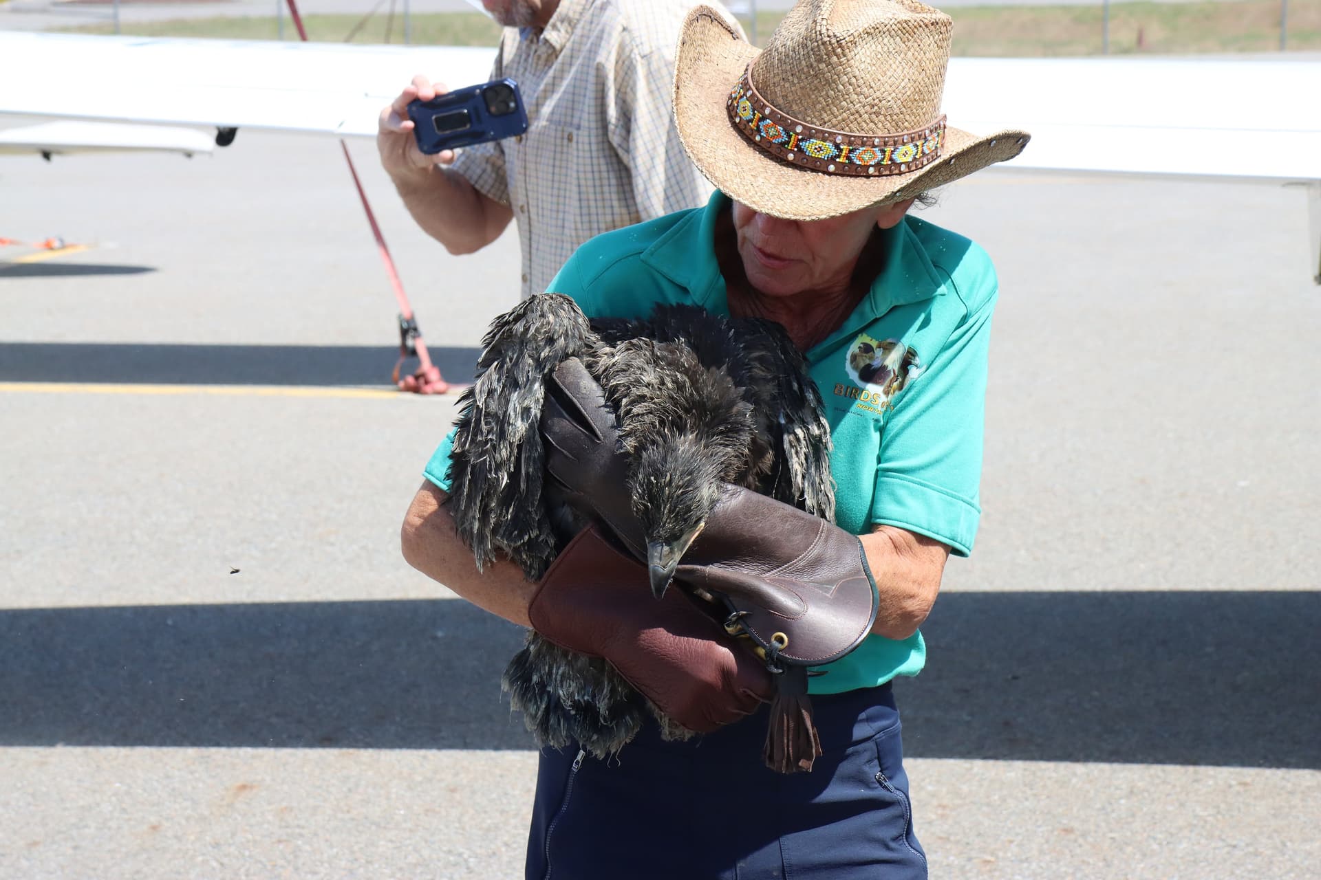Birds of Prey Northwest rescues orphaned bald eagle chicks near Coeur d’Alene