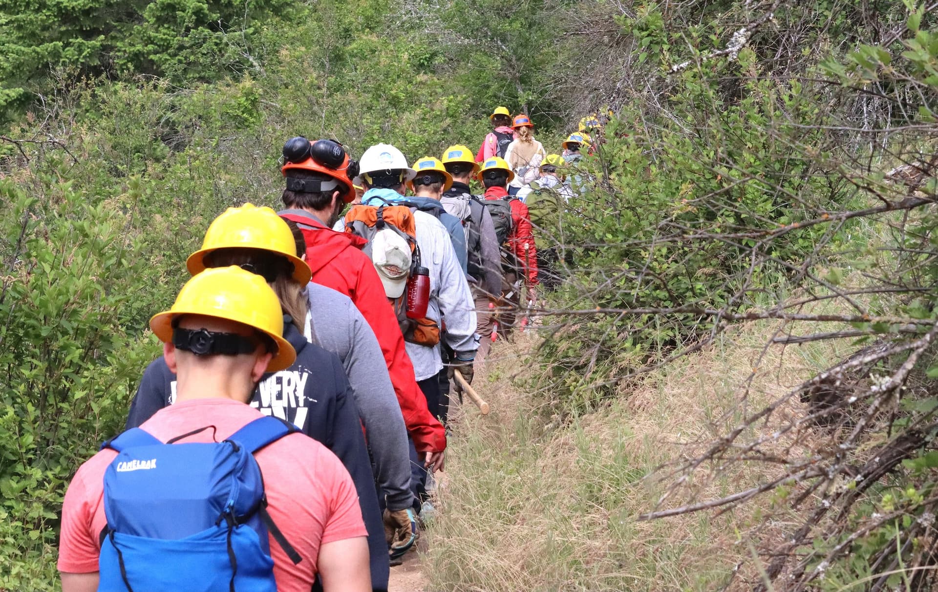 100 volunteers clear Canfield Mountain trails on National Trails Day