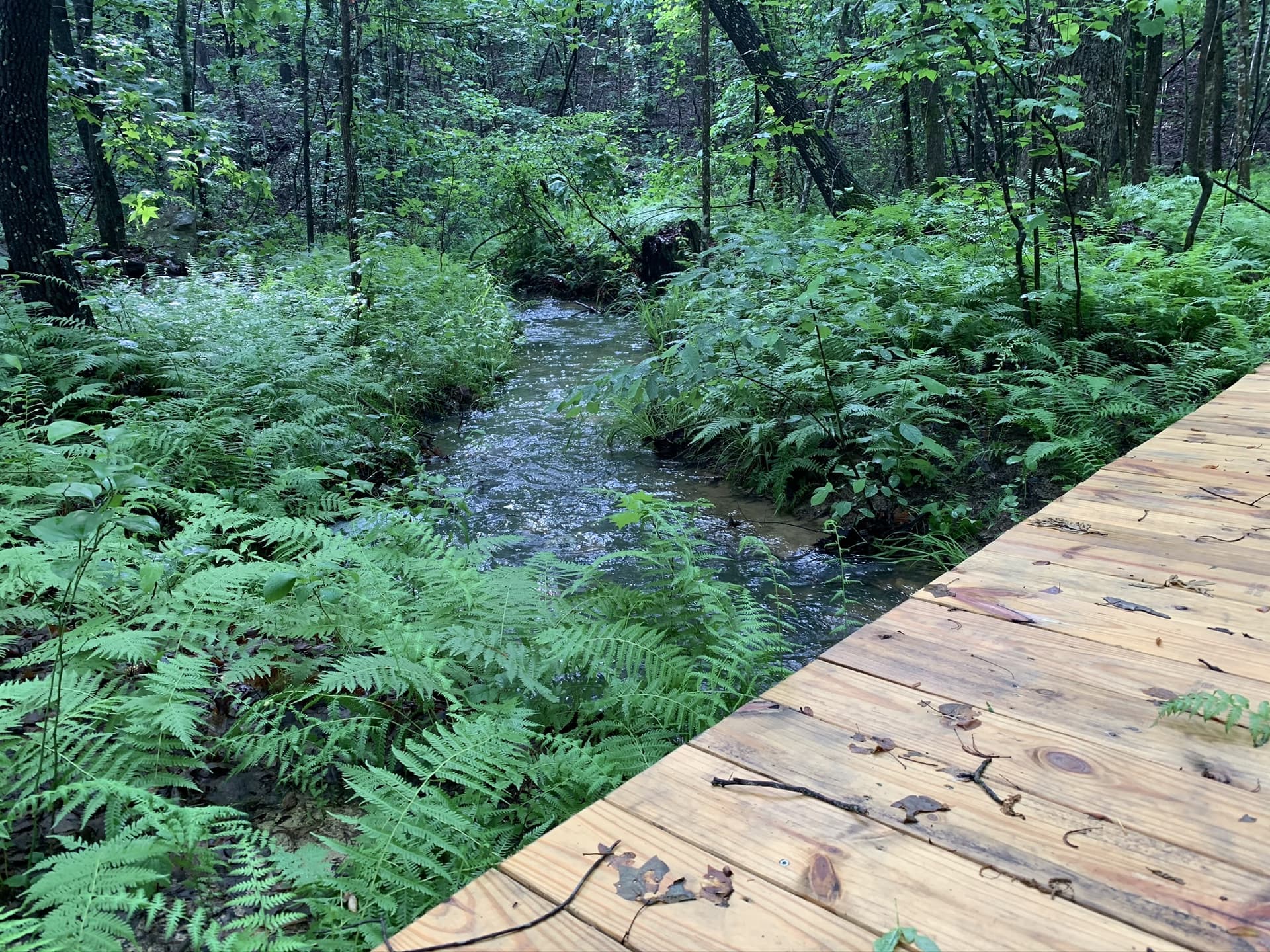 Alamance County parks and trails offer affordable outdoor adventures