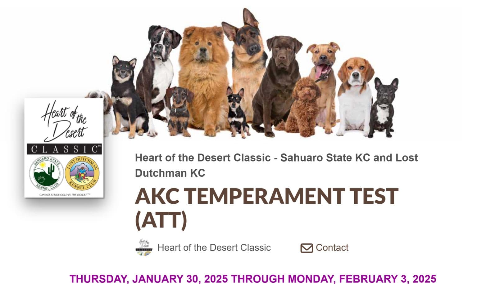 AKC explains calm dog breeds, how temperament is tested