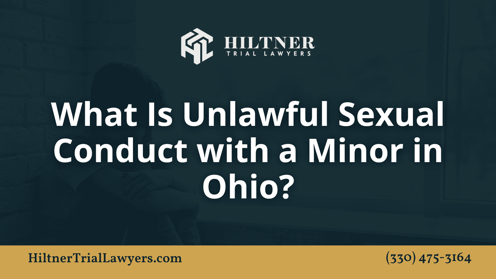 Georgia Man Charged With Soliciting Hernando County 14-Year-Old Online