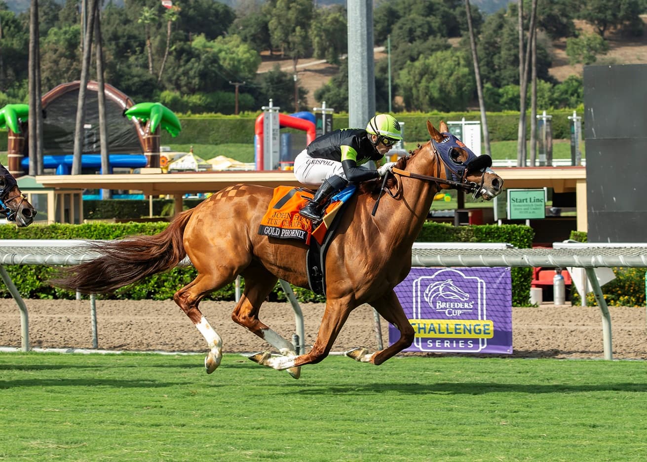 Gold Phoenix to begin 8-year-old campaign in Grade III San Marcos Stakes