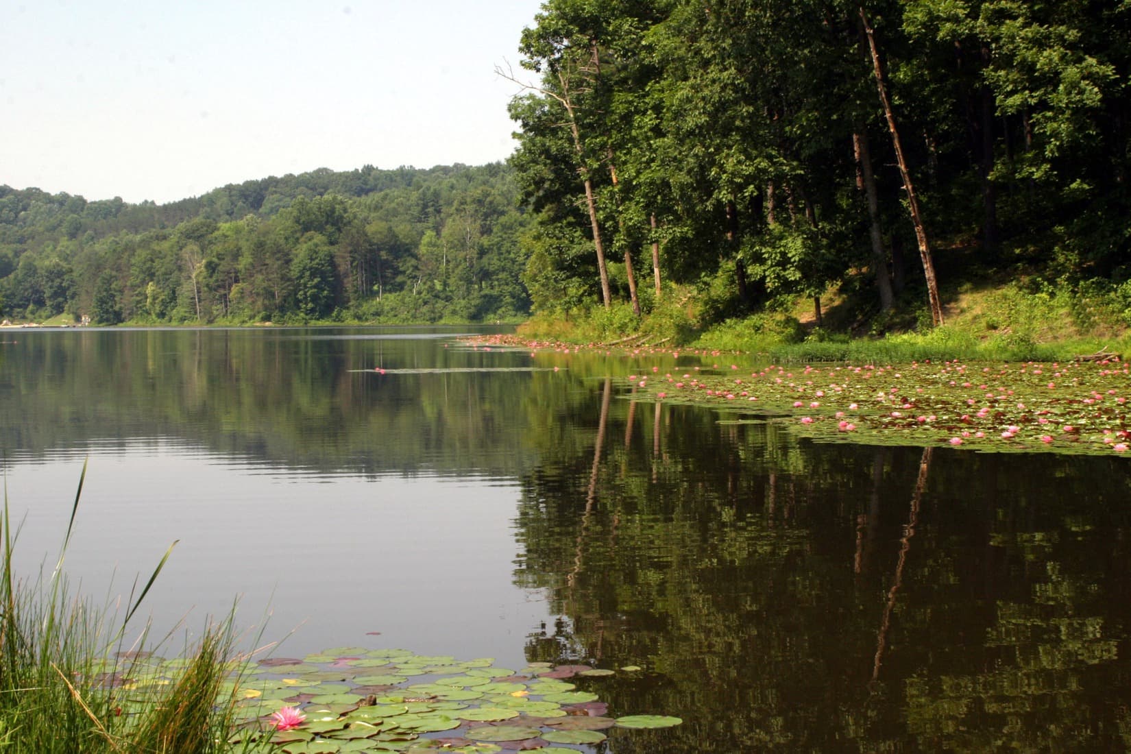 Lake Hope State Park offers wildflower hike and nature programs this weekend