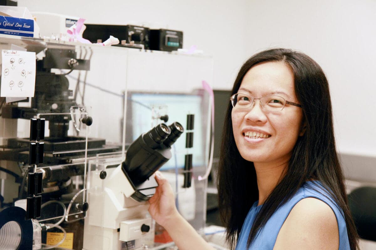 Harvard Scientists Found Nerve Overgrowth Blocks Scarless Skin Healing