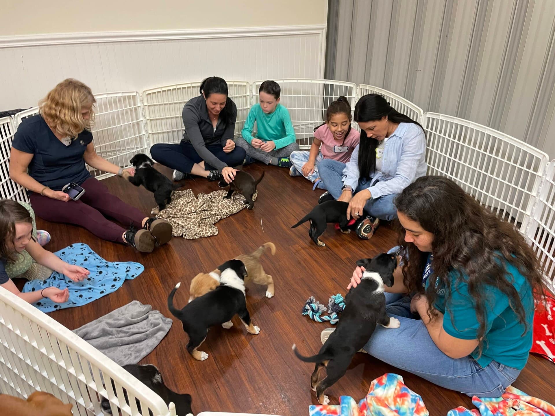 Humane Society of Broward County hosts family yoga with puppies for adoption drive