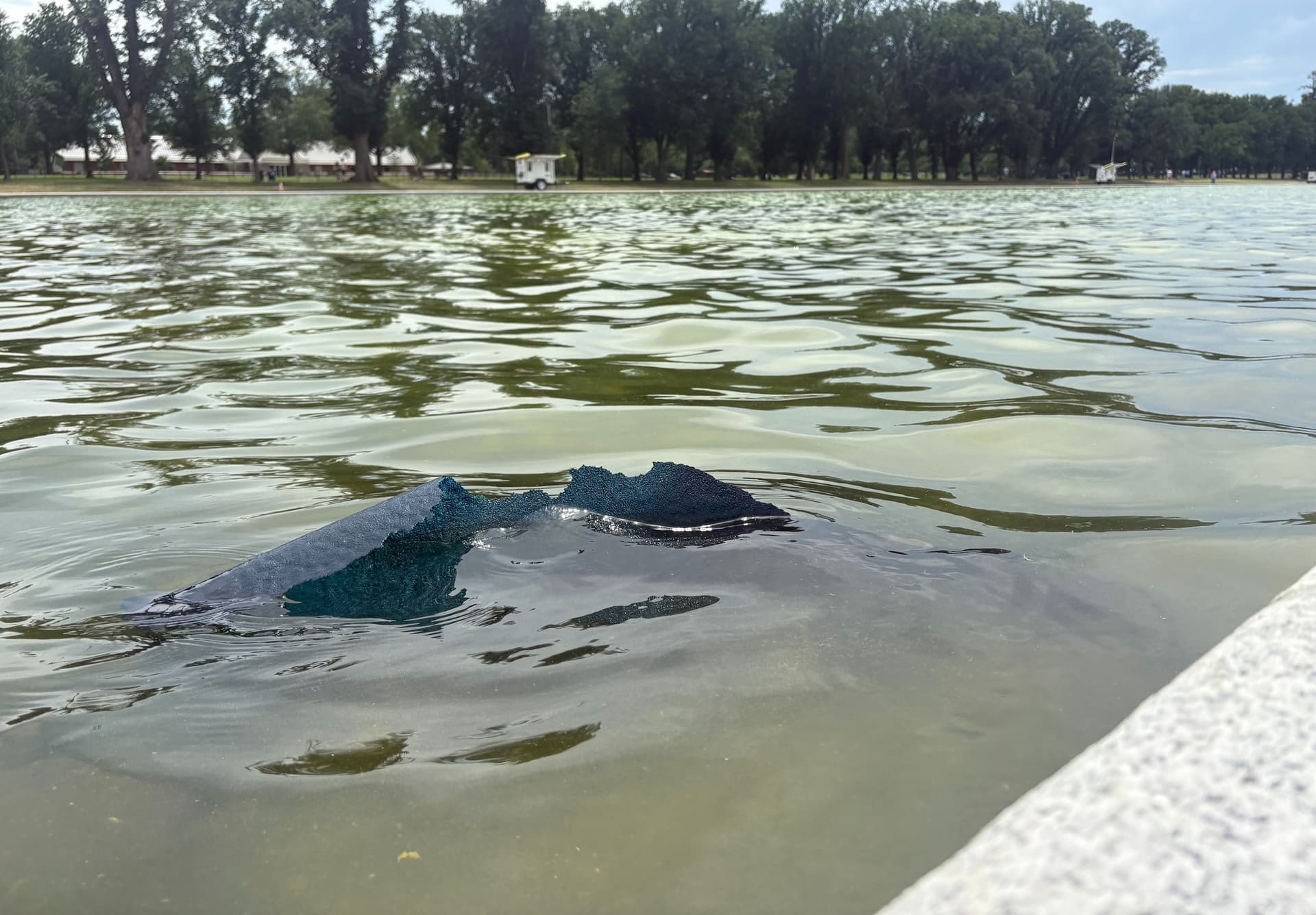 Trump clashes with reflecting pool woes as vandalism crackdown escalates