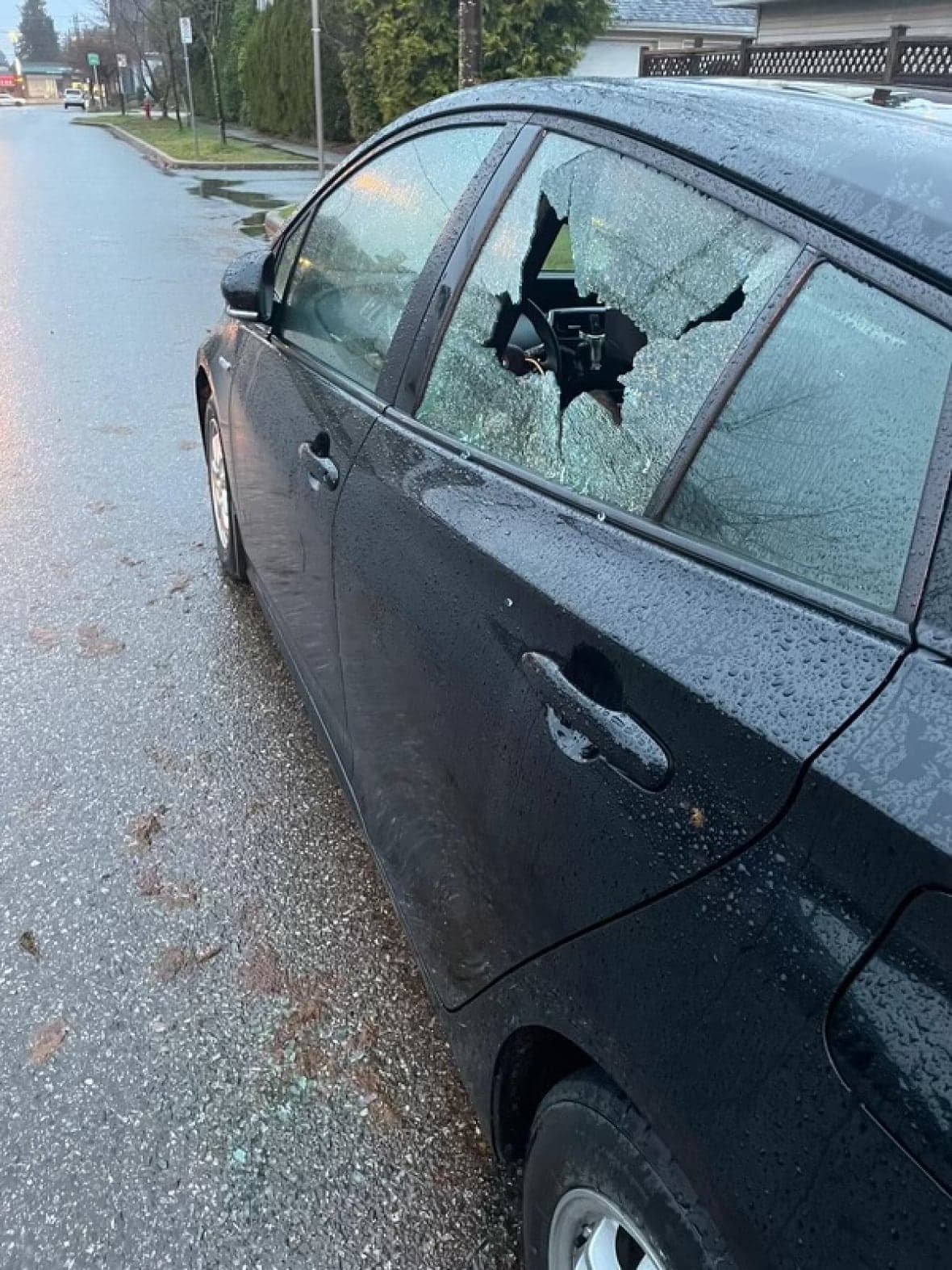Video shows bat attack on car after Tower District tagging dispute