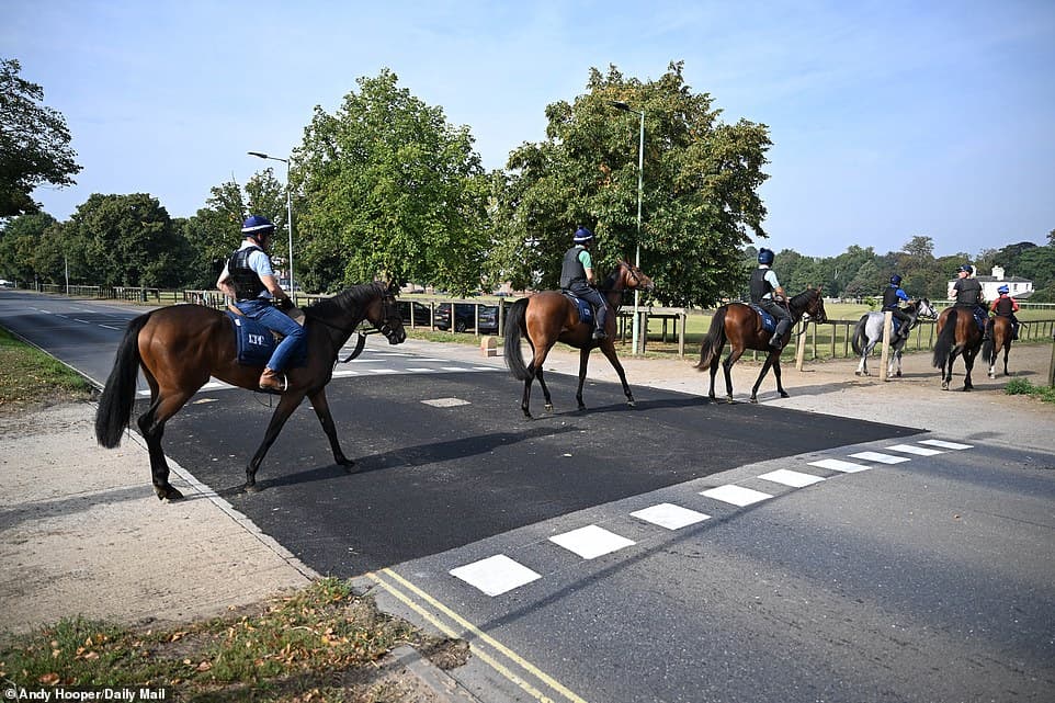 Loose Racehorse Stuns Newmarket Hotel Staff by Wandering Into Reception