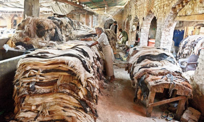 Pakistan leather exports fall despite record hide collection