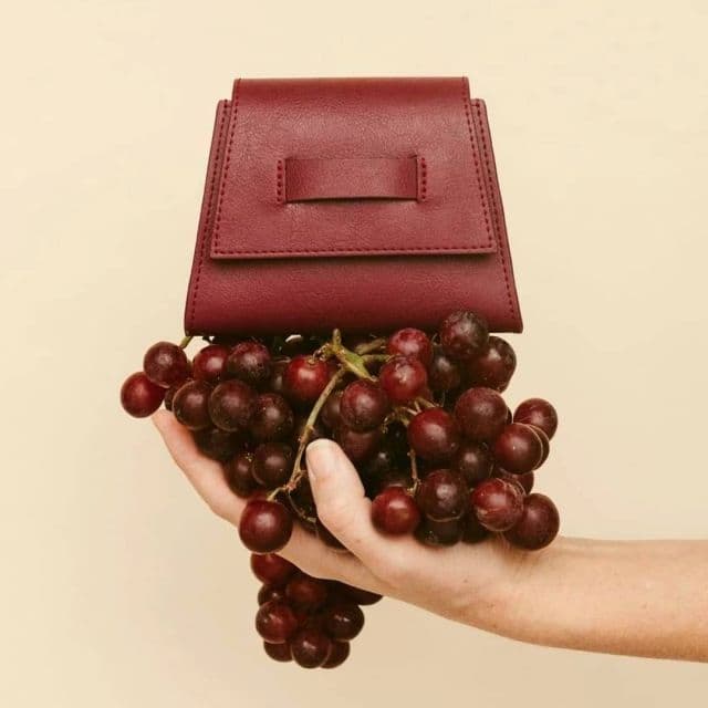 Vegea scales grape-waste biomaterial from Milan garage to luxury fashion