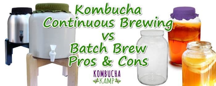 Continuous brew vs batch brewing, Kombucha Kamp weighs the trade-offs