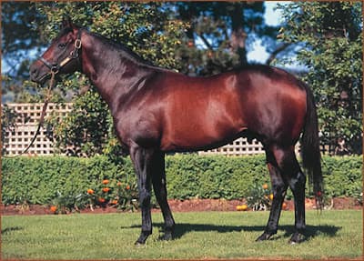 Bel Esprit, sire of Black Caviar, succumbs to old age at 26