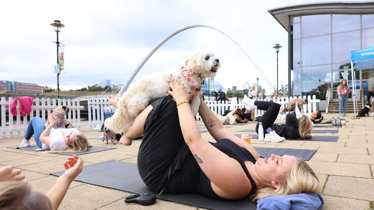 Free dog yoga event returns to Newcastle Quayside this summer