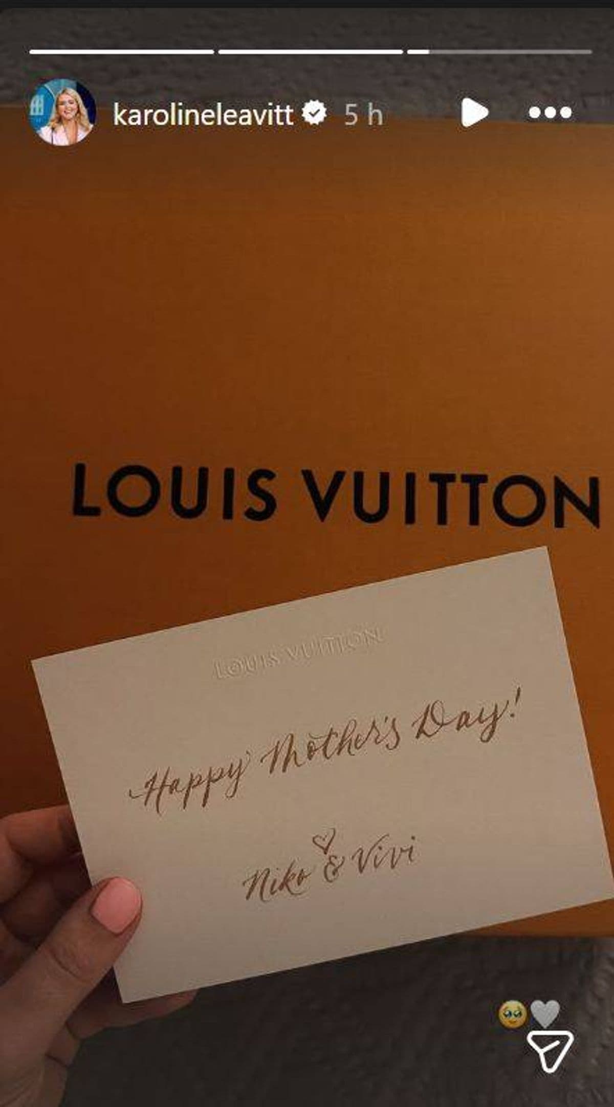 Karoline Leavitt faces backlash over Louis Vuitton Mother’s Day gift post