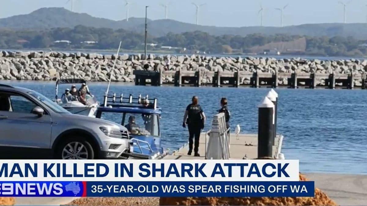 35-year-old spearfisher attacked by shark while with family