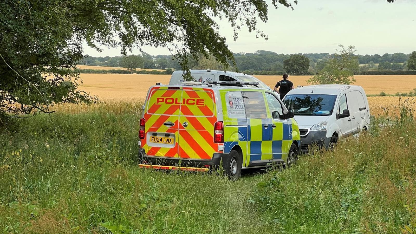 Two dead after Cessna crashes near High Ongar, Essex