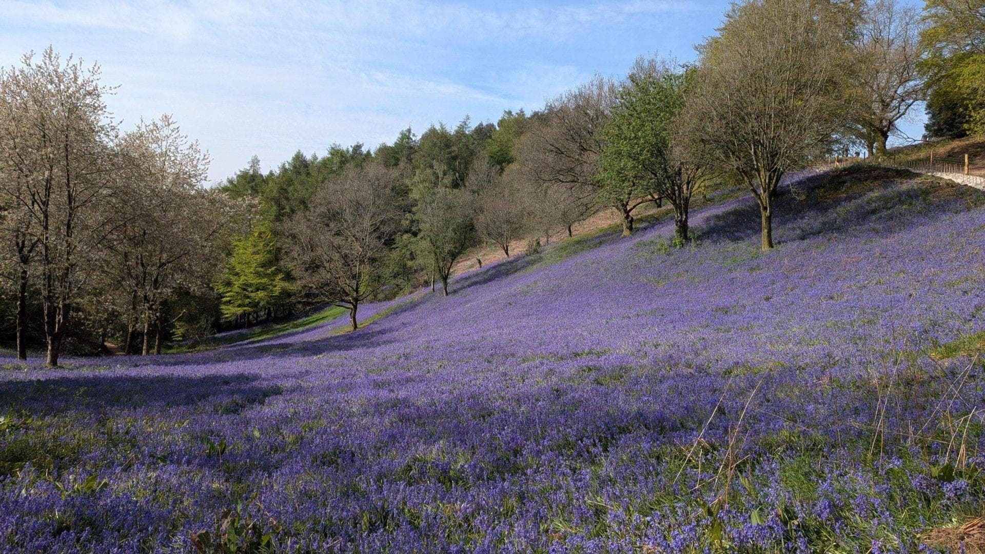 Met Office warns first full week of May will turn cooler across the UK