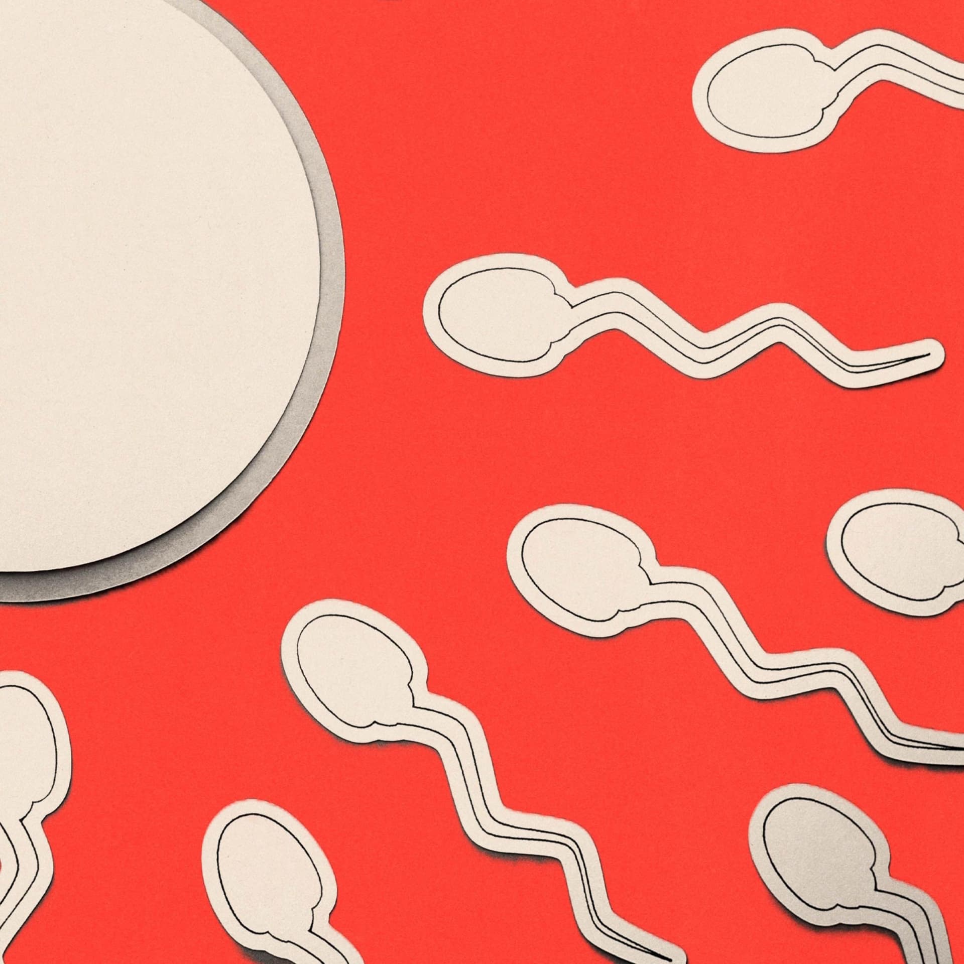 Doctors urged to evaluate men first in infertility care