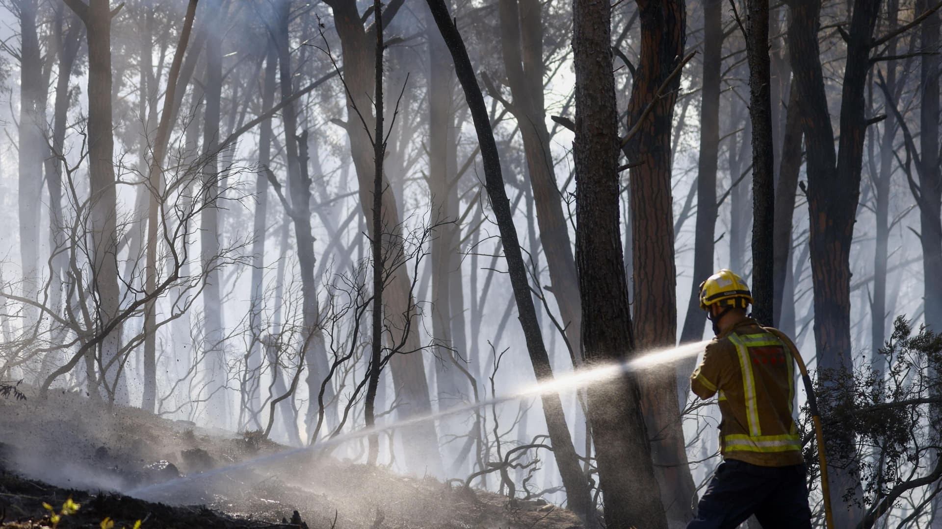 Spain wildfire death toll rises to 12 in Almería blaze