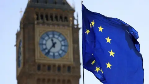 UK shelves plan for EU goods single market after Brussels doubts