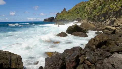 Pitcairn quarantines virus-hit ship passenger, no signs of illness reported