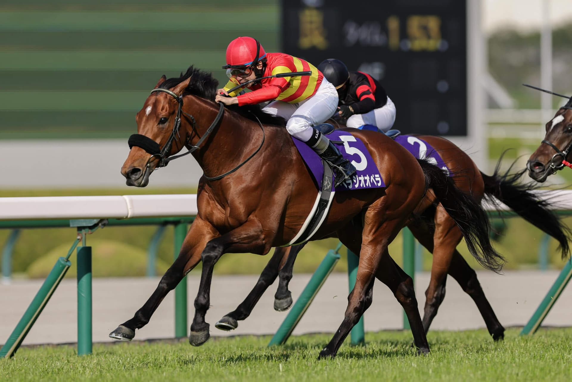 Lebensstil, David Barows Headline 15-Horse Osaka Hai G1 Field at Hanshin