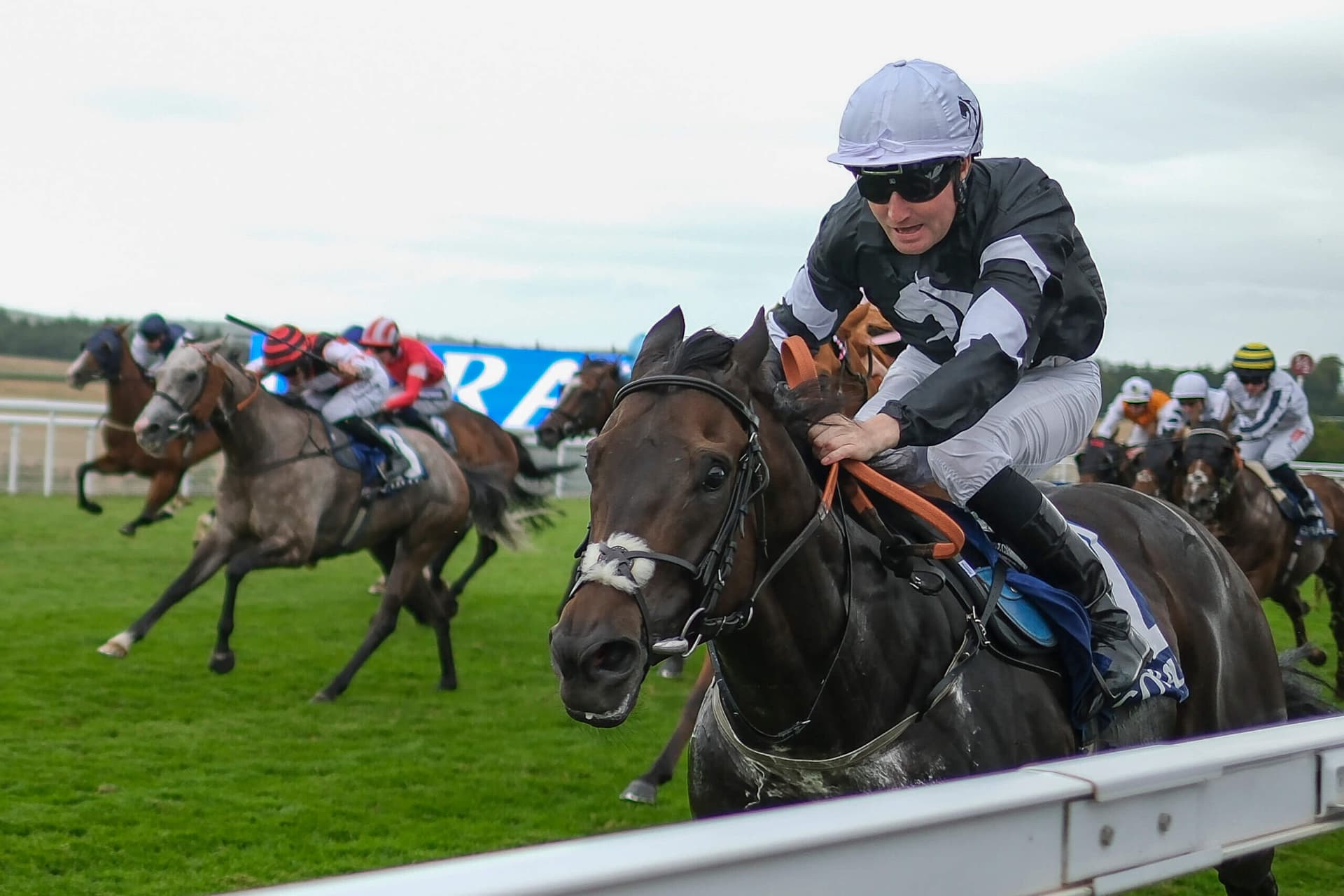 Goodwood Festival draws global contenders as racing expands internationally