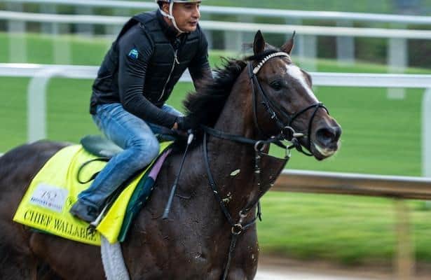 Chief Wallabee rises fast from late starter to Belmont Stakes contender