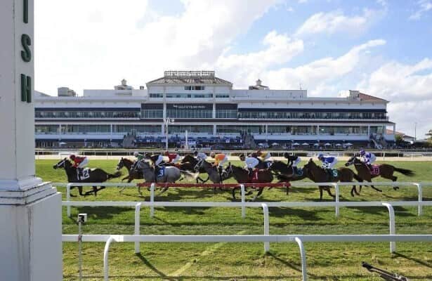 Napoleon Solo Headlines 23 Fountain of Youth Nominations; Trainers Consider Florida Derby