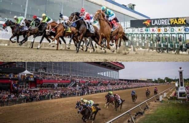 Haileysfirstnotion leads wide-open Maryland Sprint Stakes field on Preakness weekend