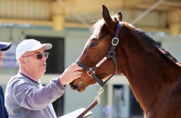 Mark Casse Named Sixth Chairman of Ocala Breeders' Sales, Succeeds Vanlangendonck