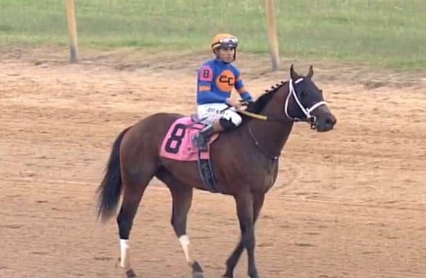 Vive Veuve rallies late to win Ouija Board Distaff Stakes