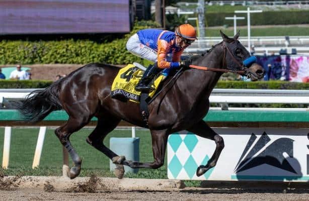 Splendora, Usha Post Strong Works as Baffert Stable Builds Spring Momentum
