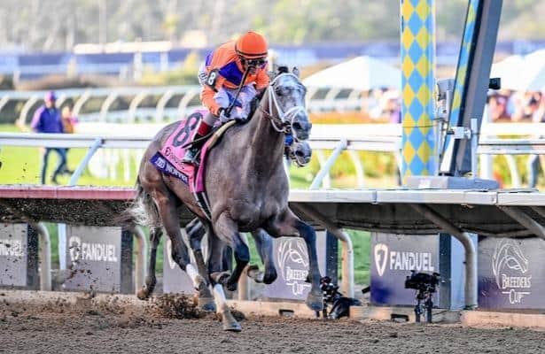 Eclipse Award-winning Ted Noffey Eyes Fountain of Youth, Carries 40 Derby Points