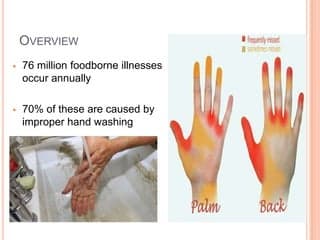 Viral Videos Show Food Safety Violations at Two Florida Chinese Restaurants