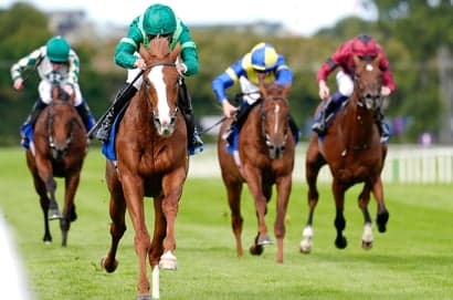Frankel could target Galileo's Derby record with Benvenuto Cellini