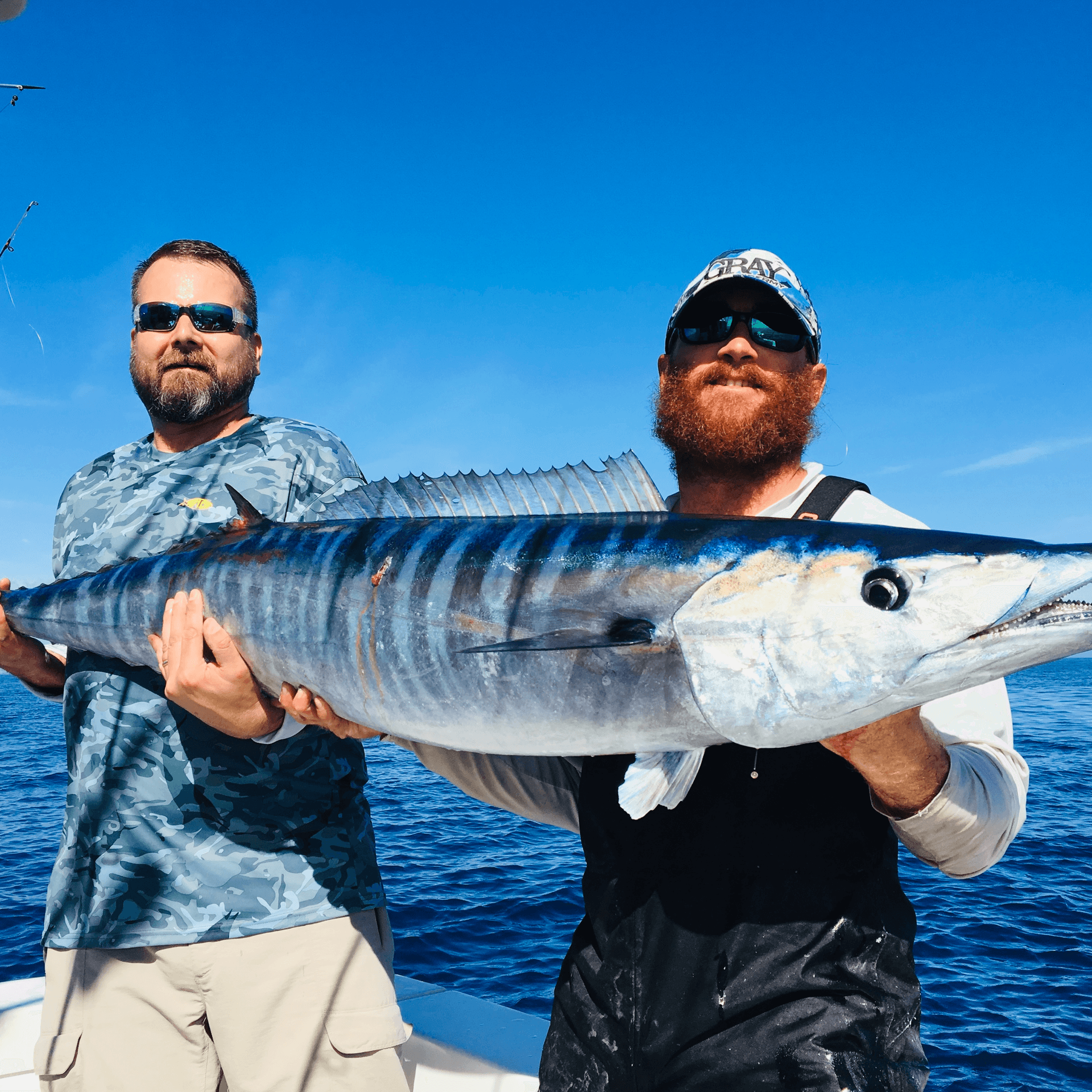 Key Largo report shows blackfin tuna in summer pelagic mix