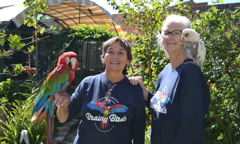 South African parrot rescue at capacity, asks for public support