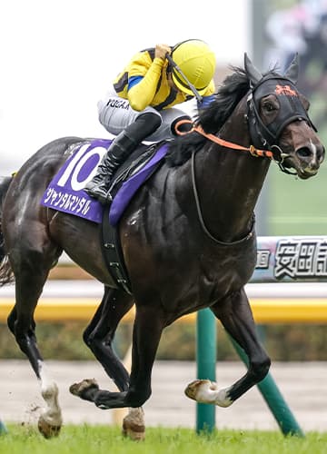 Yasuda Kinen opens up after Admire Zoom scratch, Breeders’ Cup berth at stake
