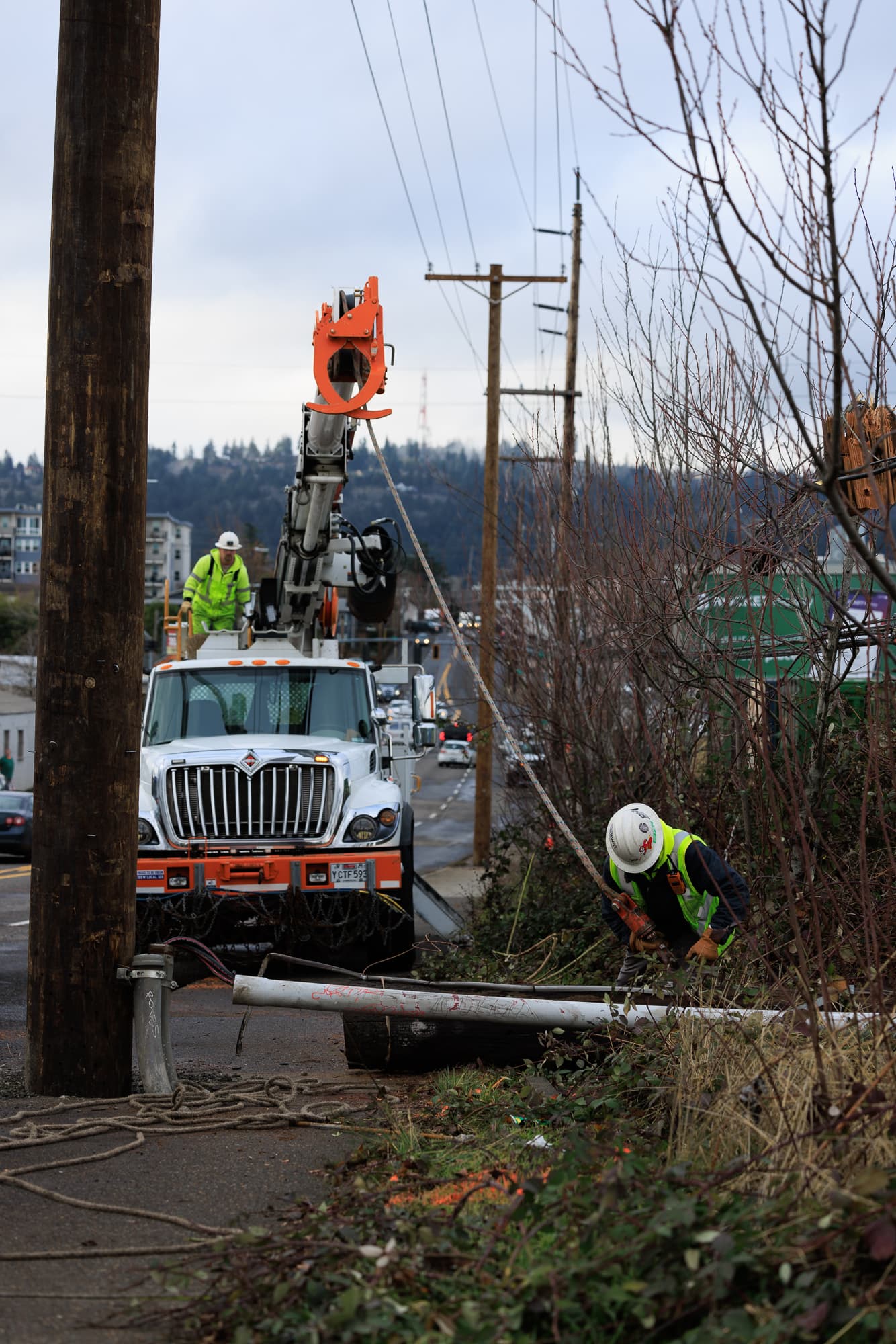 Tree contact knocks out power for hundreds in Southern Humboldt