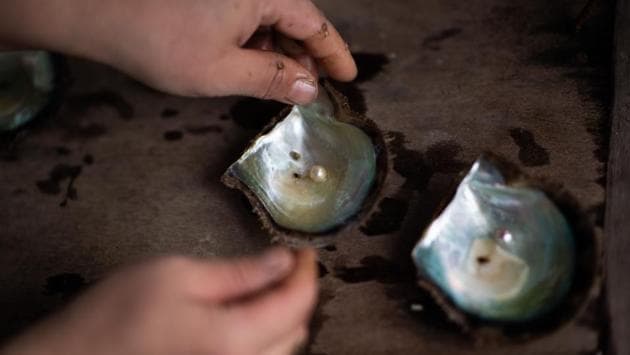 How to Start a Pearl Farm: Species, Sites, and Husbandry Explained