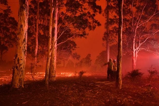 Thousands Urged to Flee as New South Wales Fires Rage