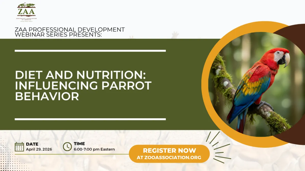 Parrot Nutrition Webinar Links Diet, Foraging, and Behavior