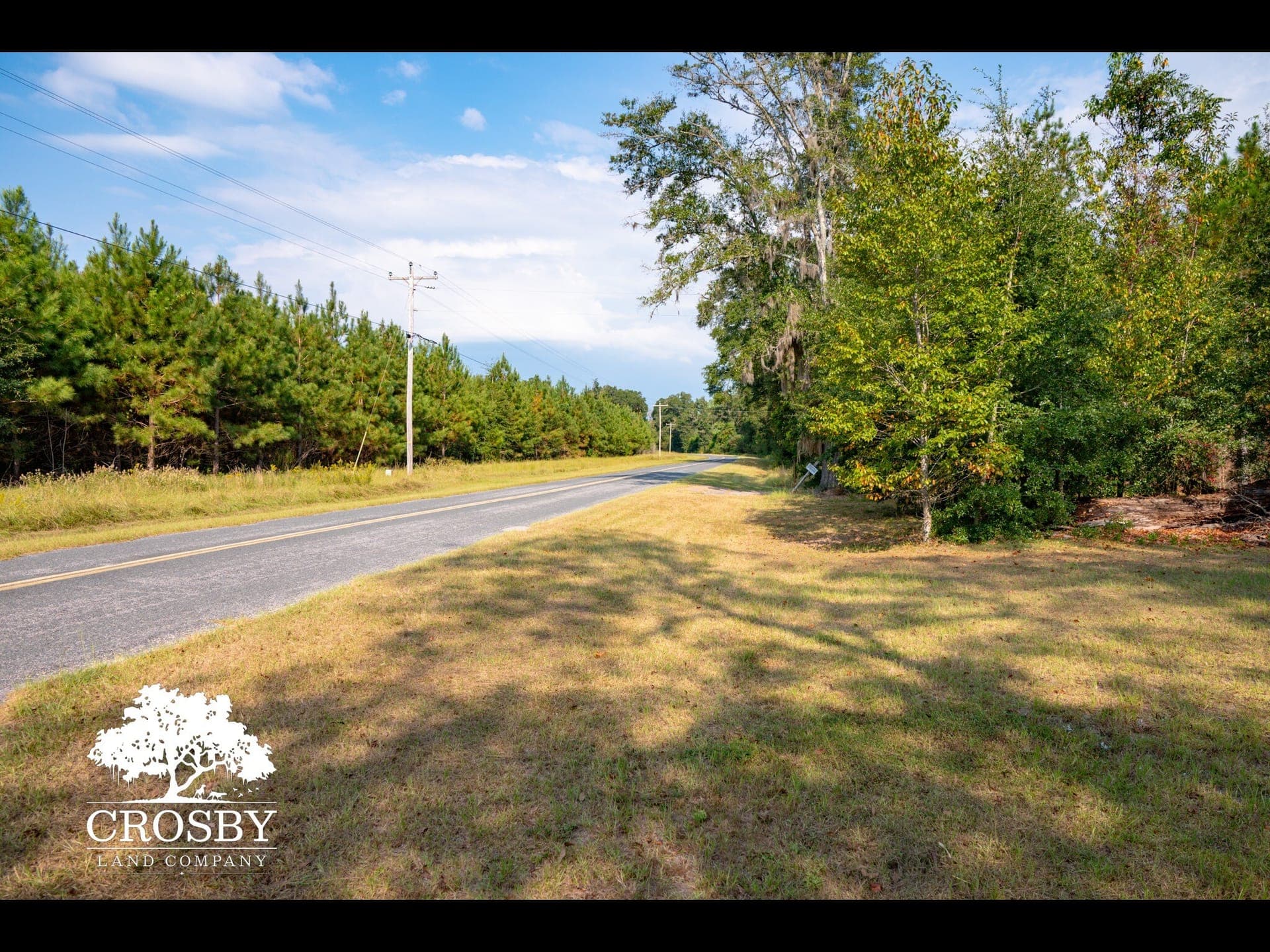 16-acre Olar parcel listed for $120,000 offers versatile rural options