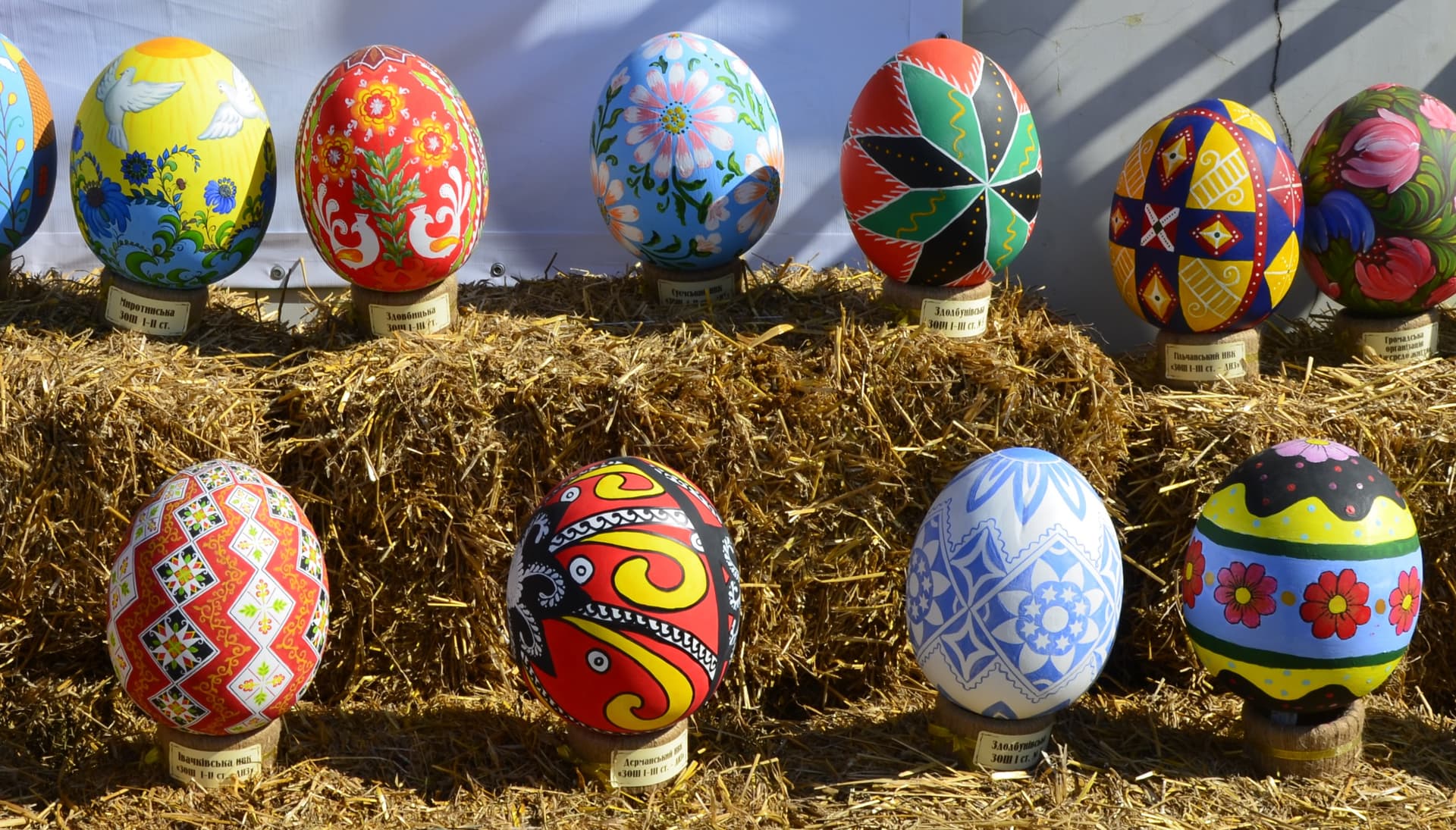 Rockwall Parks and Recreation Hosts Spring Eggstravaganza at The Harbor March 28