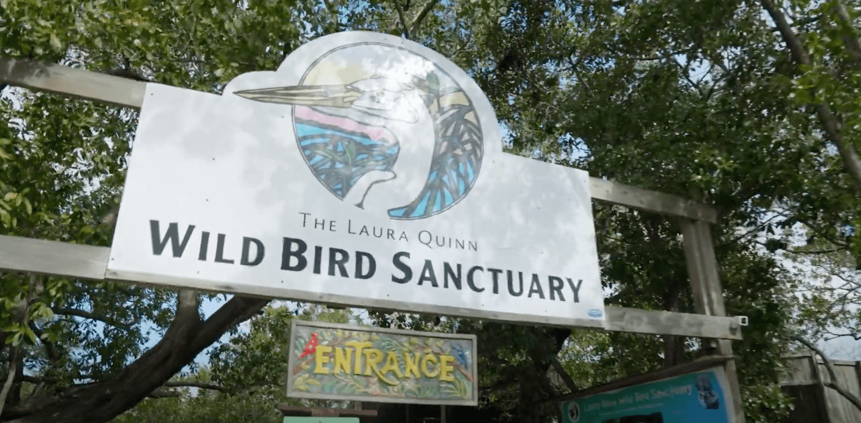 Laura Quinn Sanctuary Remains Key Low‑Cost Wildlife Stop for Monroe Residents